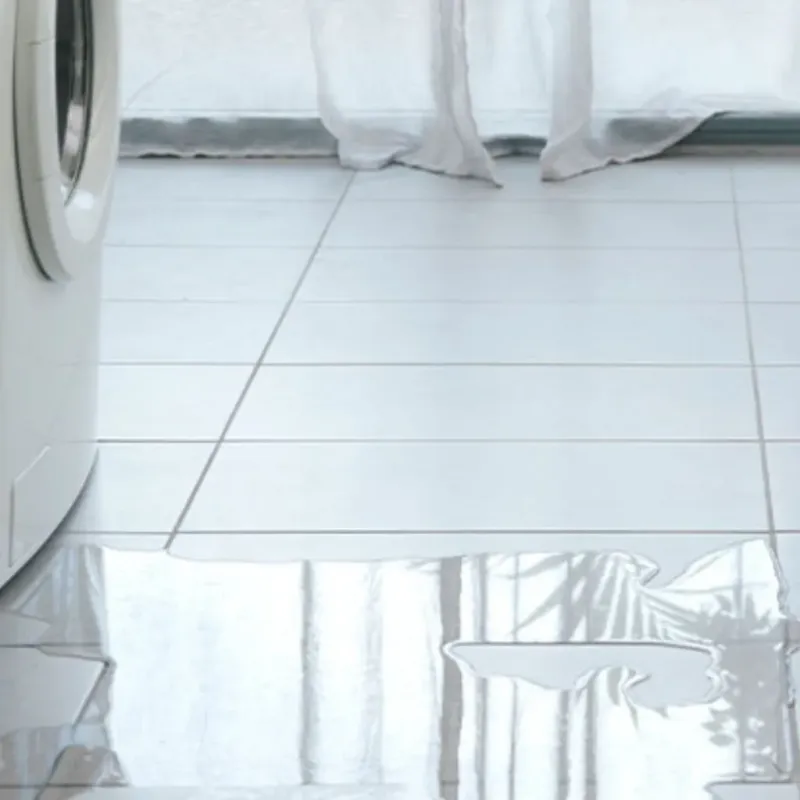 Appliance Leak Cleanup in Princeton, MO