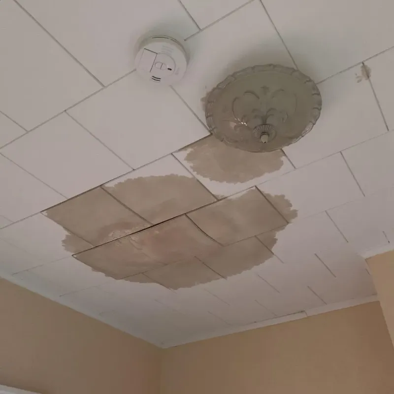 Ceiling Water Damage Repair in Princeton, MO
