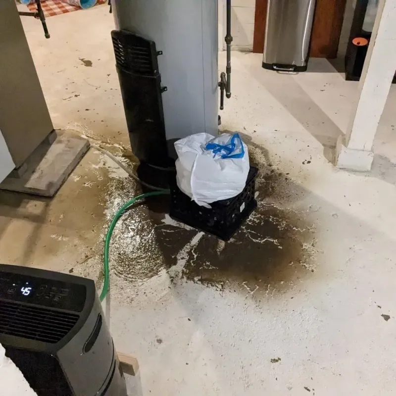 Sewage Backup Cleanup Service in Princeton, MO